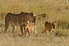 East Africa 2012